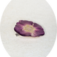 Rose 4 - Barrette