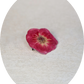 Rose - Broche